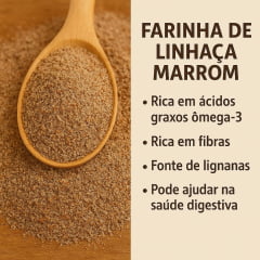 Farinha de Linhaça Marrom 500g Embalagem Refil Wvegan Farinha de Linhaça Marrom 500g Embalagem Refil Wvegan