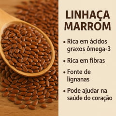 Semente de Linhaça Marrom 500g Embalagem Refil Wvegan Semente de Linhaça Marrom 500g Embalagem Refil Wvegan